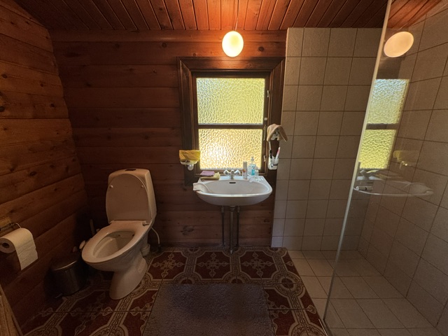 Badeværelse med bruser og toilet